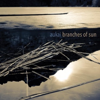 Aukai - Branches Of Sun - CD DIGISLEEVE