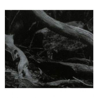Barren Canyon - World Of Wounds - CD DIGIPAK