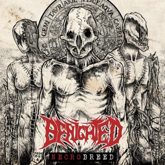 Benighted - Necrobreed - LP