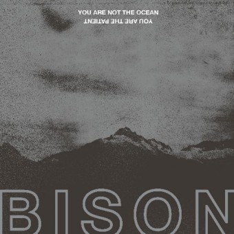 Bison - You Are Not The Ocean You Are The Patient - LP