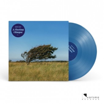 Bjorn Riis - A Fleeting Glimpse - Mini LP coloured