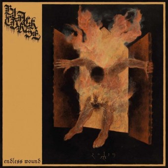 Black Curse - Endless Wound - CD DIGIPAK