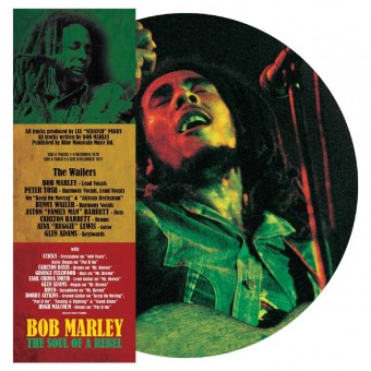 Bob Marley - The Soul Of A Rebel - LP PICTURE