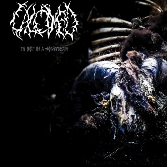 Calcined - To Rot In A Honeybeam - CD DIGIPAK