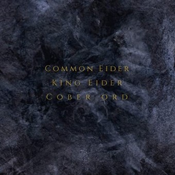 Common Elder - King Elder And Cober Ord - Palimpseste - CD DIGISLEEVE A5