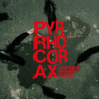 Crawling Crows - Pyrrhocorax - CD DIGIPAK
