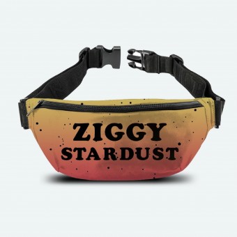 David Bowie - Ziggy Stardust - BAG