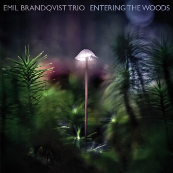 Emil Brandqvist Trio - Entering The Woods - CD DIGIPAK