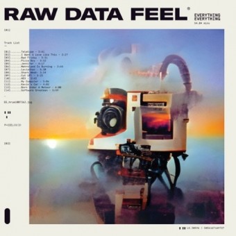 Everything Everything - Raw Data Feel - LP Gatefold