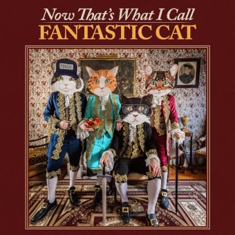 Fantastic Cat - Now That's What I Call Fantastic Cat - LP Gatefold