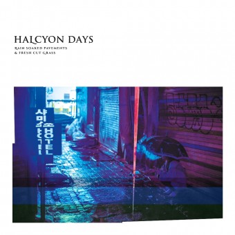 Halcyon Days - Rain Soaked Pavements & Fresh Cut Grass - CD