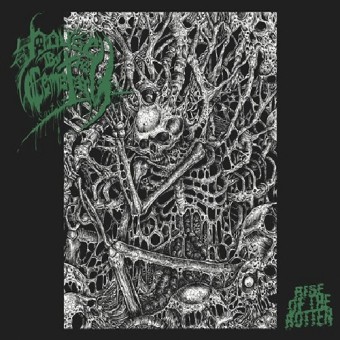 House By The Cemetary - Rise Of The Rotten - CD