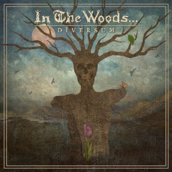 In The Woods - Diversum - CD