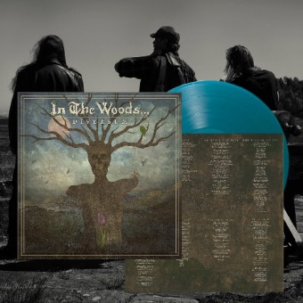 In The Woods - Diversum - LP COLOURED