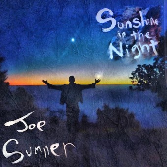 Joe Sumner - Sunshine In The Night - LP