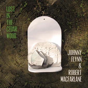 Johnny Flynn - Lost In The Cedar Wood - LP