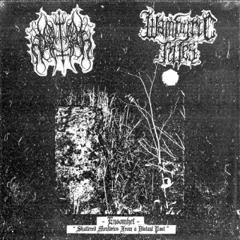 Mantiel - Wampyric Rites - Ensomhet - Shattered Memories From A Distant Past - LP