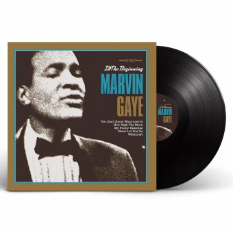 Marvin Gaye - In The Beginning - LP
