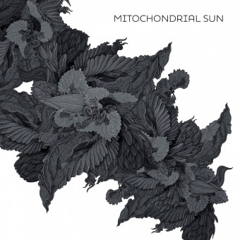 Mitochondrial Sun - Mitochondrial Sun - CD DIGISLEEVE