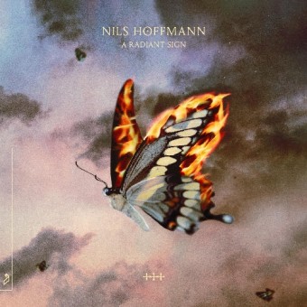 Nils Hoffmann - A Radiant Sign - DOUBLE LP GATEFOLD