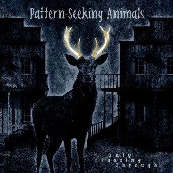 Pattern-Seeking Animals - Only Passing Through - CD DIGIPAK