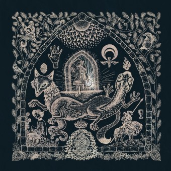 Petrels - The Dusk Loom - LP