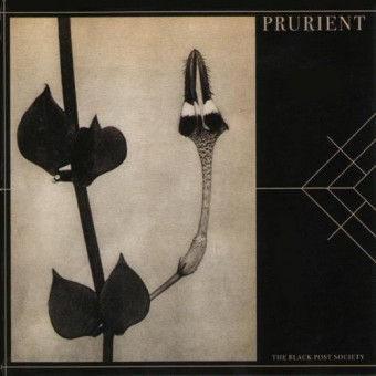 Prurient - The Black Post Society - CD