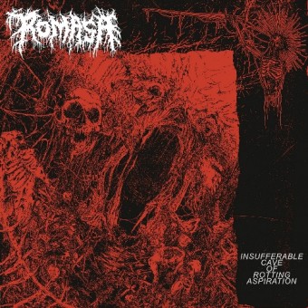 Romasa - Insufferable Cave Of Rotting Aspiration - Mini LP