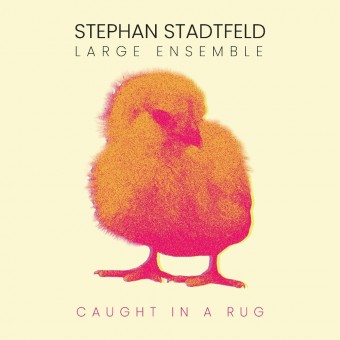 Stephan Stadtfeld Large Ensemble - Caught In A Rug - CD DIGIPAK