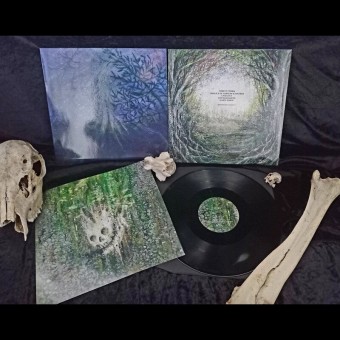 Tetrasigil - Forest Storm - LP