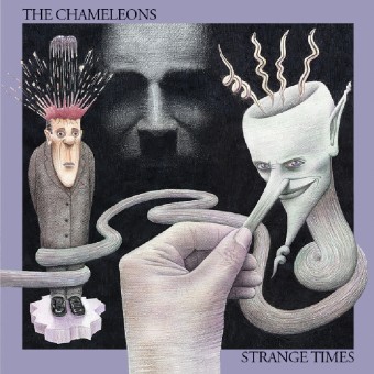 The Chameleons - Strange Times - DOUBLE CD