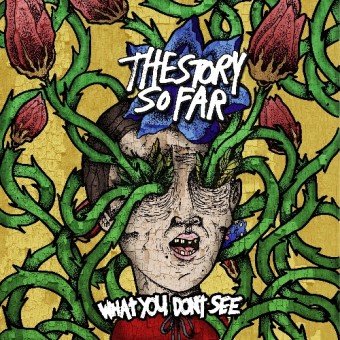 The Story So Far - What You Don't See - CD