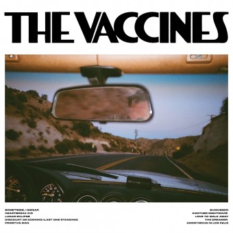 The Vaccines - Pick-Up Full Of Pink Carnations - LP COLOURED