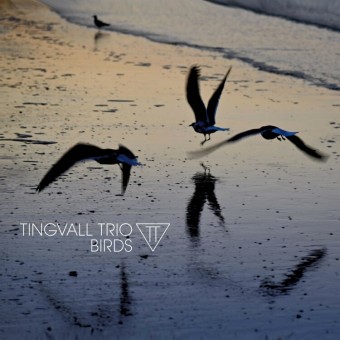 Tingvall Trio - Birds - CD DIGIPAK