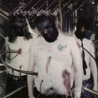 To Separate The Flesh From The Bones - Utopia Sadistica - CD