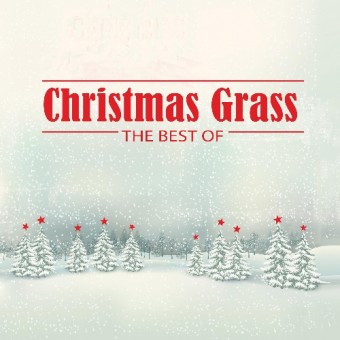 Various Artists - Christmas Grass: The Best Of - LP COLOURED