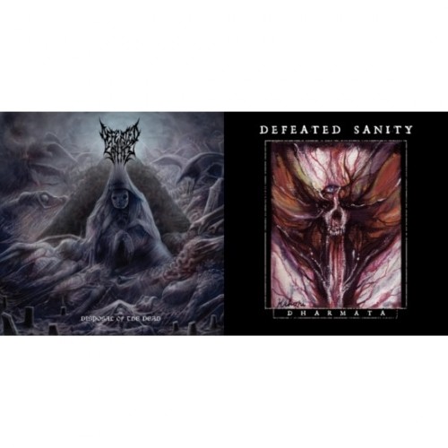 Defeated Sanity | Disposal Of The Dead / Dharmata - DOUBLE LP ...