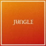 Jungle - Volcano - CD DIGIPAK