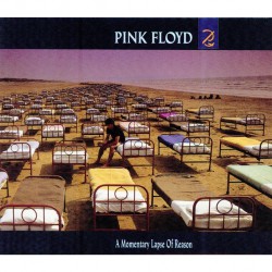 Pink Floyd - A Momentary Lapse Of Reason - CD DIGISLEEVE