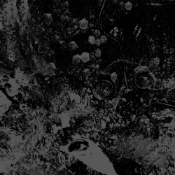 Primitive Man And Unearthly Trance - Split - CD