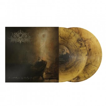 A Wake In Providence - I Write To You, My Darling Decay - DOUBLE LP GATEFOLD COLOURED