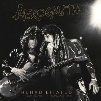 Aerosmith - Rehabilitated - DOUBLE LP GATEFOLD