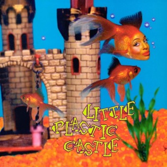 Ani DiFranco - Little Plastic Castle (25th Anniversary Edition) - DOUBLE LP GATEFOLD