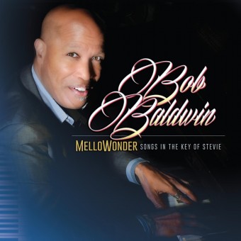 Bob Baldwin - MelloWonder - Songs In The Key Of Stevie - DOUBLE LP