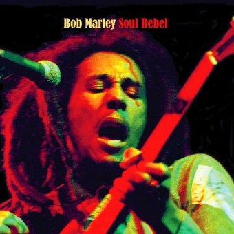 Bob Marley - Soul Rebel - LP COLOURED