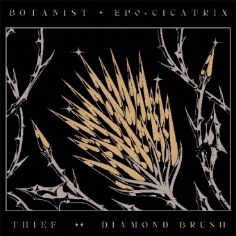 Botanist / Thief - Cicatrix / Diamond Brush - CD DIGISLEEVE
