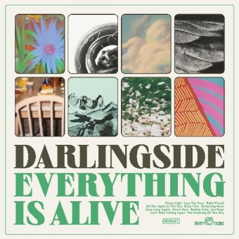 Darlingside - Everything Is Alive - CD DIGISLEEVE