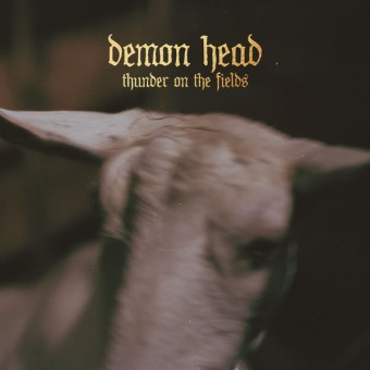 Demon Head - Thunder On The Fields - CD DIGIPAK
