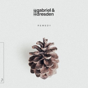 Gabriel & Dresden - Remedy - CD DIGIPAK
