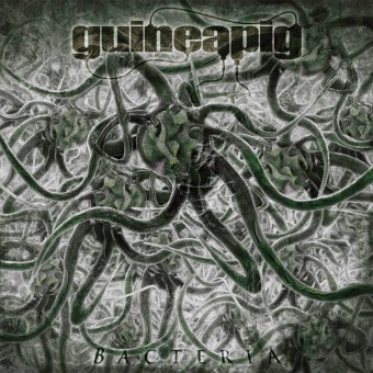 Guineapig - Bacteria - CD